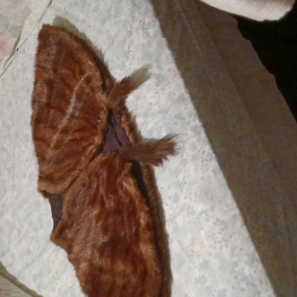 Vintage Mink Cape